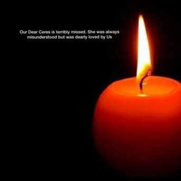 Meet your Posher, Tan - Picture 1 of 1